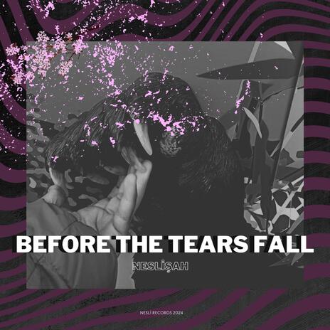 Before The Tears Fall | Boomplay Music