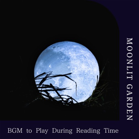 Book of My Life | Boomplay Music