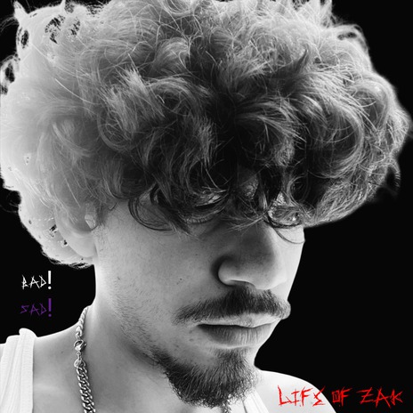 Life Of Zak - SAD! | Boomplay Music