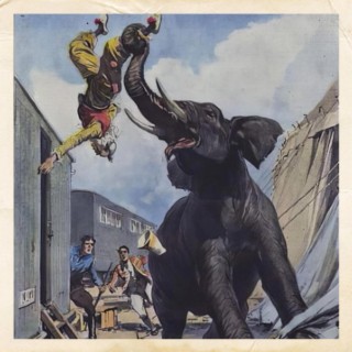 El Elefante lyrics | Boomplay Music