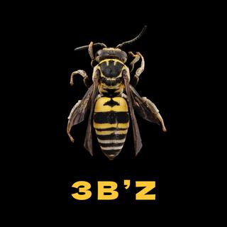 3B'Z