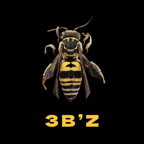 3B'Z | Boomplay Music