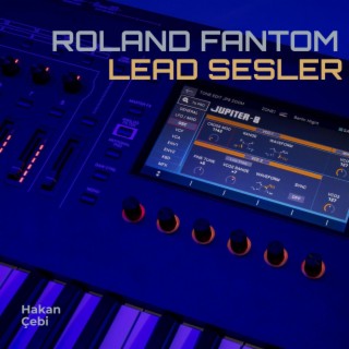 Roland Fantom Lead Sesler