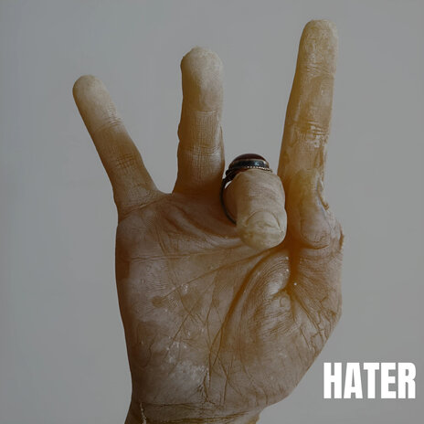 Hater (Radio Edit) | Boomplay Music