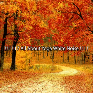 ! ! ! ! 17 All About Yoga White Noise ! ! ! !