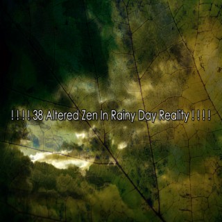 ! ! ! ! 38 Altered Zen In Rainy Day Reality ! ! ! !