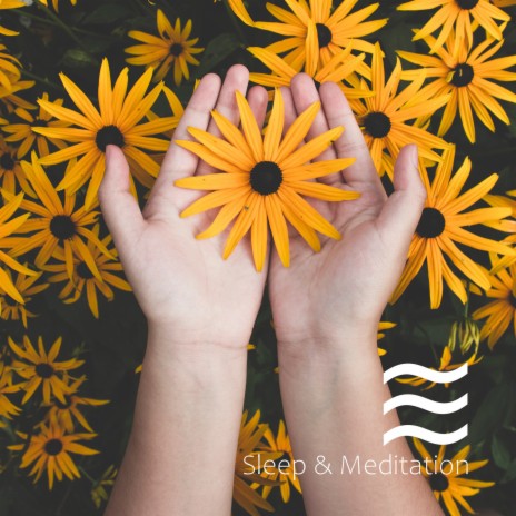 Relaxation Sleepful Noise for Babies | Boomplay Music