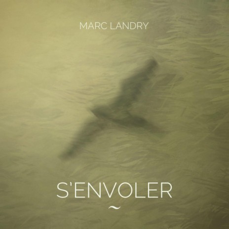 S'envoler | Boomplay Music