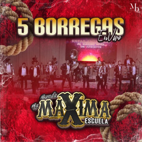 5 Borregas (En Vivo) | Boomplay Music