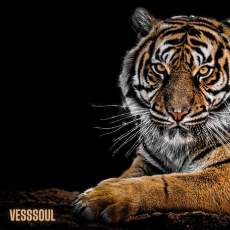 Tiger In My Eye | Boomplay Music