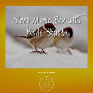 Sleep Music Box with Birds Sounds