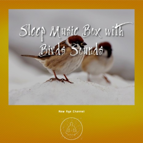 Slow Zen Music Box - Serenity Sounds of Nature