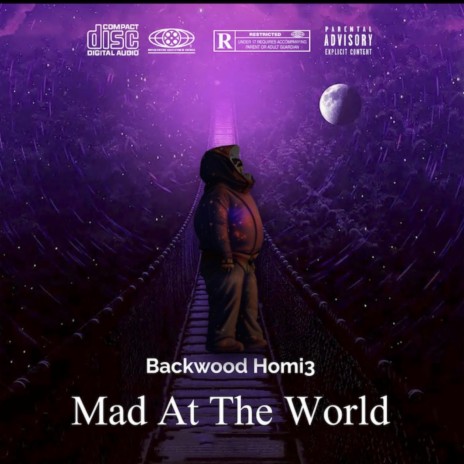 Mad At The World | Boomplay Music