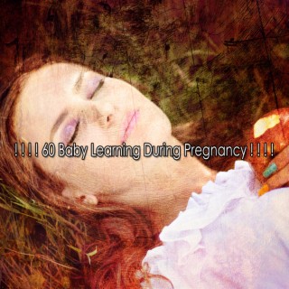 ! ! ! ! 60 Baby Learning During Pregnancy ! ! ! !