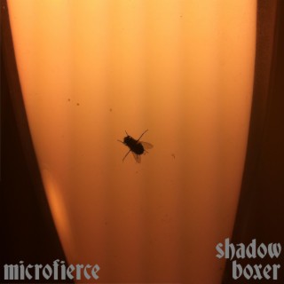 Shadow Boxer