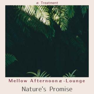 Mellow Afternoonα-lounge - Nature's Promise