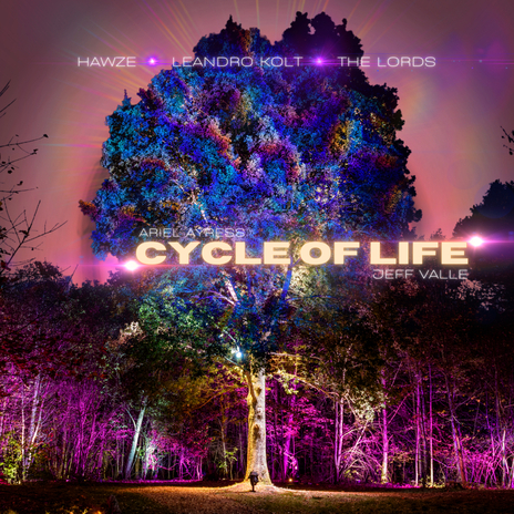 Cycle of Life (The Lordss High Sound Radio Remix) ft. Ariel Ayres | Boomplay Music