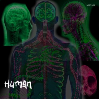 Human