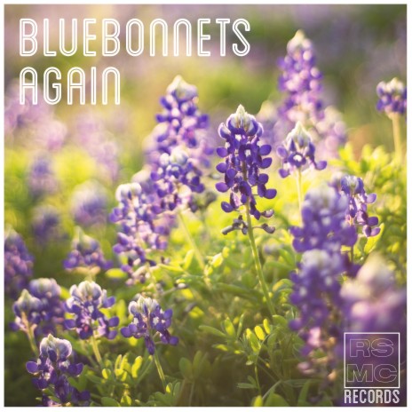 Bluebonnets again | Boomplay Music