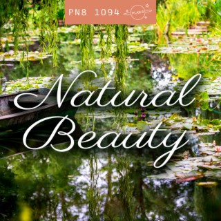 Natural Beauty: Dreamy, Sensitive Textures