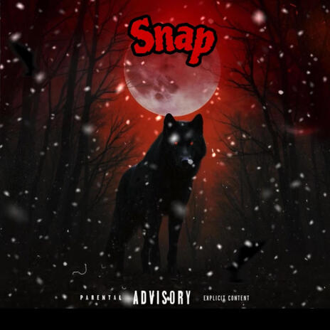 Snap | Boomplay Music