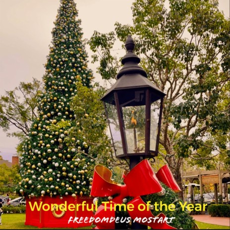 Wonderful Time of the Year | Boomplay Music