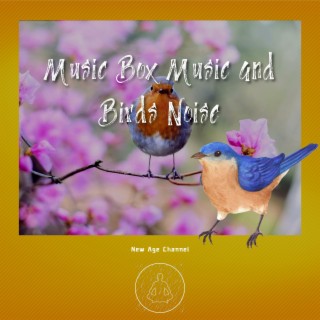 Music Box Music and Birds Noise