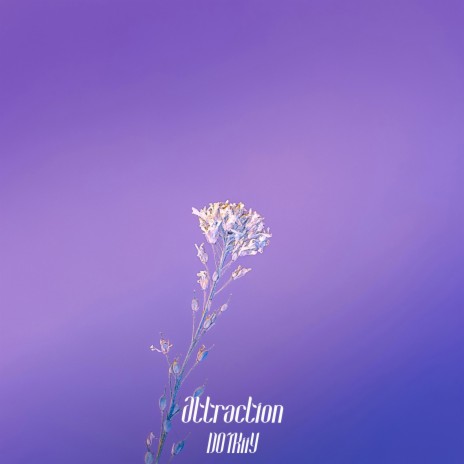 Attraction | Boomplay Music
