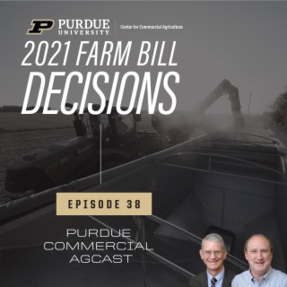 2021 Farm Bill Decisions for Crop Producers