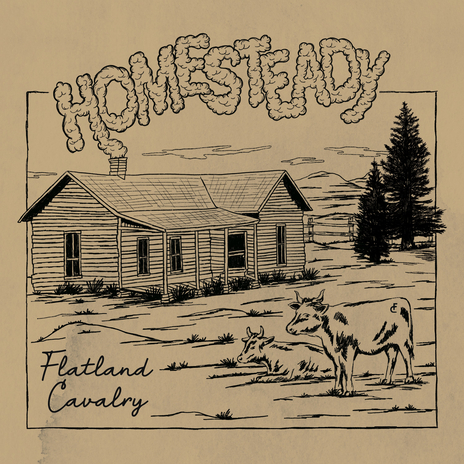 Homesteady (Home Demo) | Boomplay Music