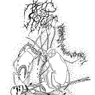 pathology through etomology