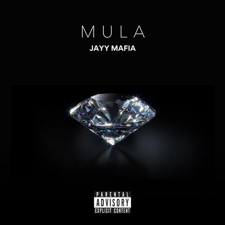 Mula