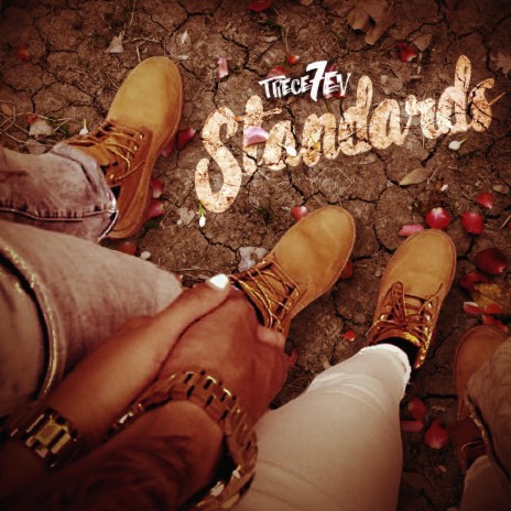 Standards (Radio Edit) | Boomplay Music