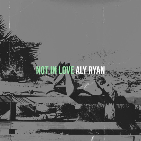 Not in Love | Boomplay Music