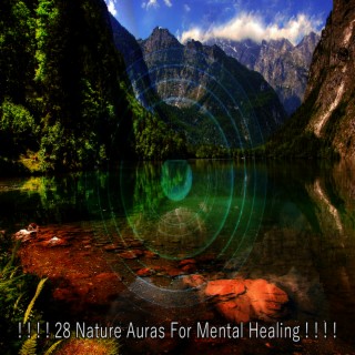 ! ! ! ! 28 Nature Auras For Mental Healing ! ! ! !