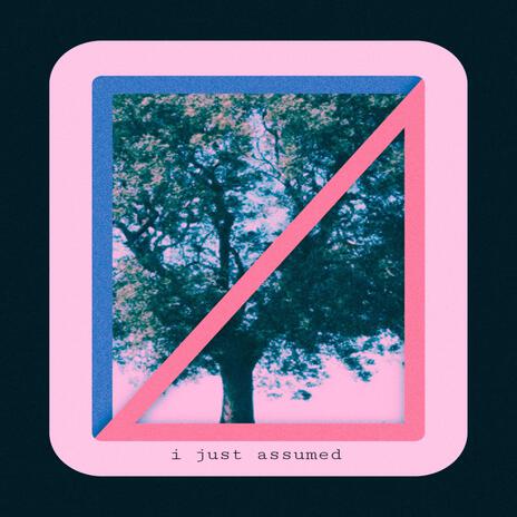 i just assumed | Boomplay Music