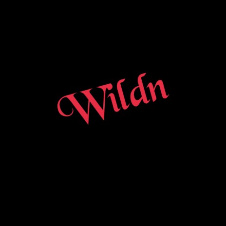 Wildn | Boomplay Music