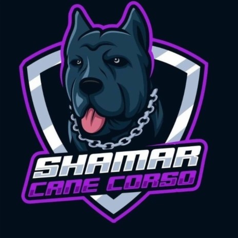 Shamar Cane Corso | Boomplay Music