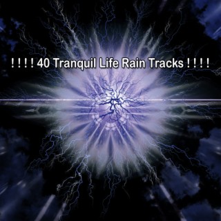 ! ! ! ! 40 Tranquil Life Rain Tracks ! ! ! !