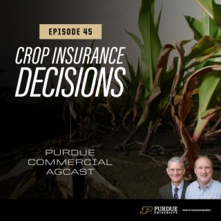 Making Your 2021 Crop Insurance Decisions