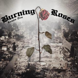 Burning Roses