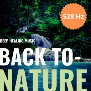 Back To Nature 528 Hz