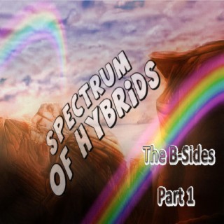 Spectrum of Hybrids (The B-Sides Part 1)