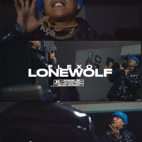 Lone wolf | Boomplay Music