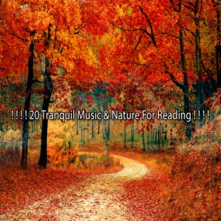 ! ! ! ! 20 Tranquil Music & Nature For Reading ! ! ! !