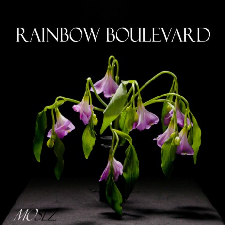 Rainbow Boulevard | Boomplay Music