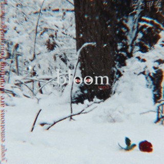bloom lyrics | Boomplay Music