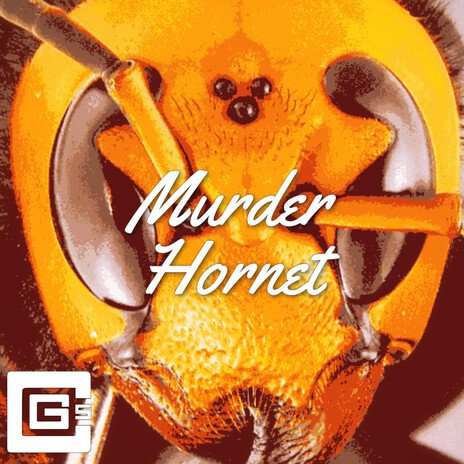 Murder Hornet | Boomplay Music