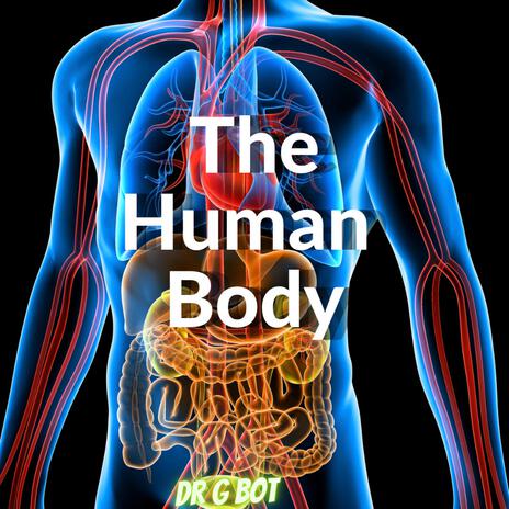 The Human Body | Boomplay Music