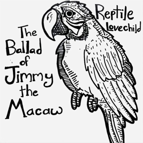 The Ballad of Jimmy the Macaw | Boomplay Music